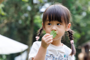 El jardín de la princesa Annie(安妮公主花園)