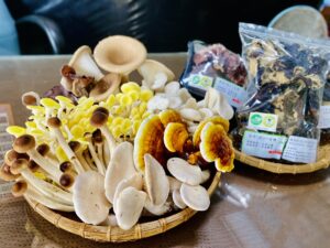 Granja de hongos orgánicos de Primavera Huisheng(惠生泉有機菇場)