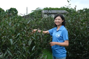 Granja de Té Pequeña Hoja (小葉子農園)