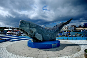 Whale World(鯨世界)