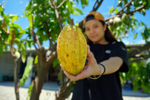 Hacienda de Chocolate Cacao Yummy(可可雅米)