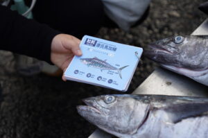 Fish Every Year  (年年有鰆)