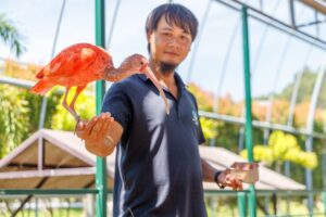 Parque de la Vida Silvestre de Jiujiufeng(九九峰動物樂園)