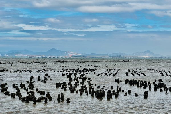 003金門古寧頭海上兵馬俑景觀001